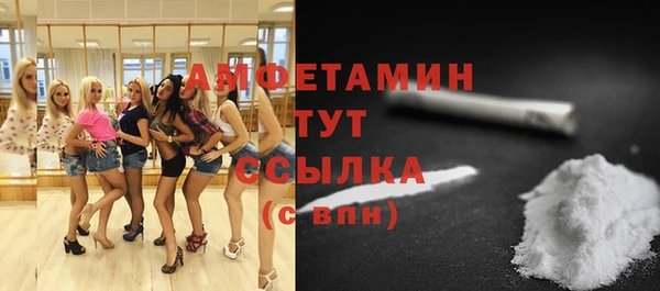 2c-b Горняк