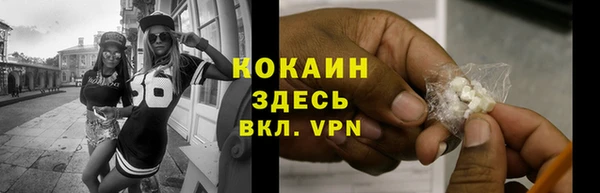 таблы Гусев