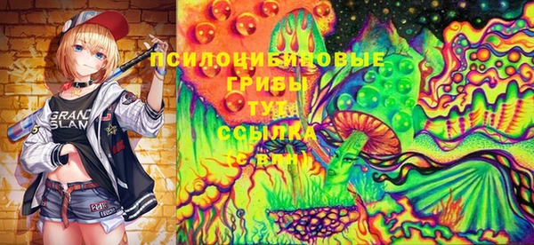 PSILOCYBIN Горно-Алтайск