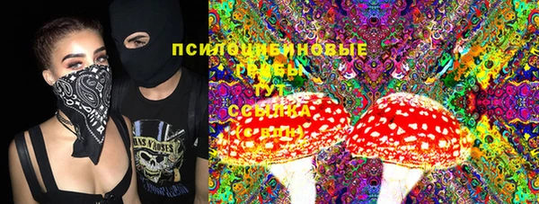 2c-b Горняк