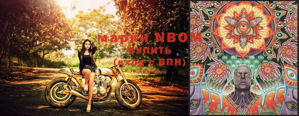 PSILOCYBIN Горно-Алтайск