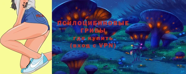 2c-b Горняк